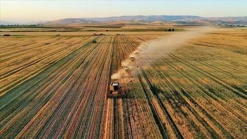 Türk Tarım Sektörü Üretim Hafızasını Kaybediyor (4)