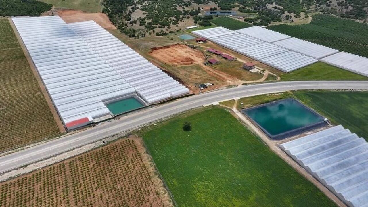 Türkiye’de Ilk Kez Uygulanacak 11