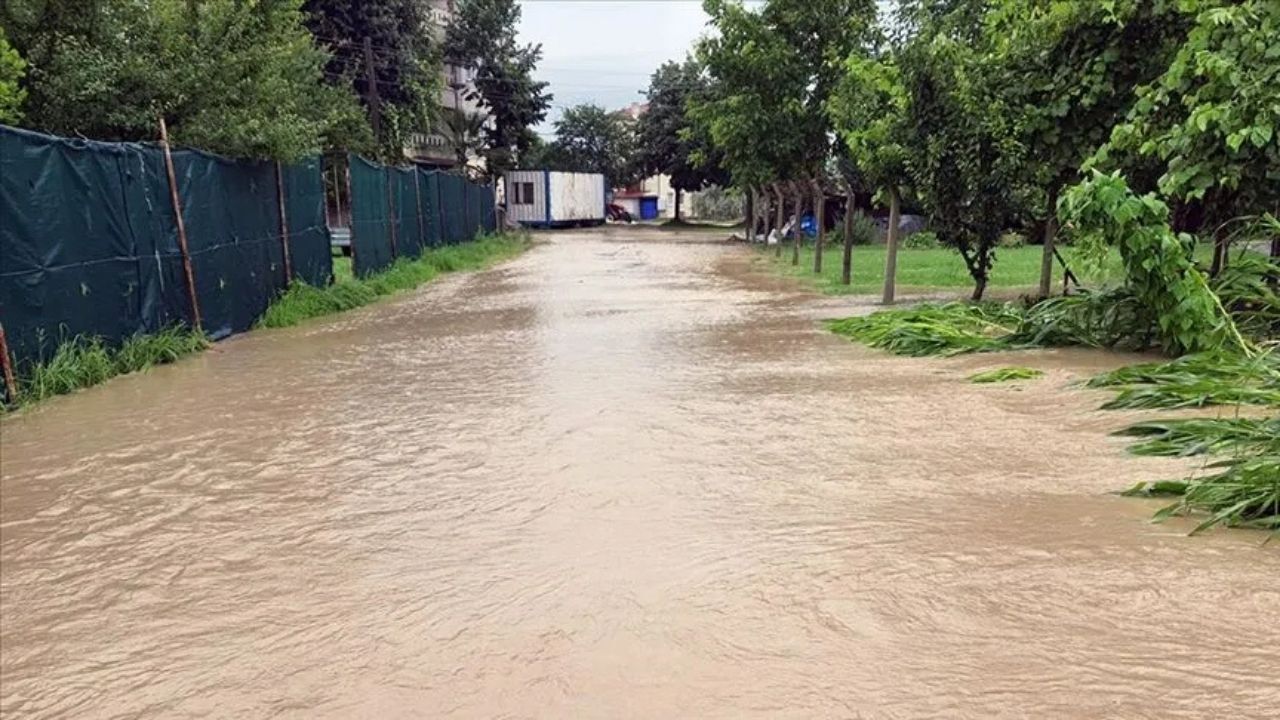 Turuncu Kod