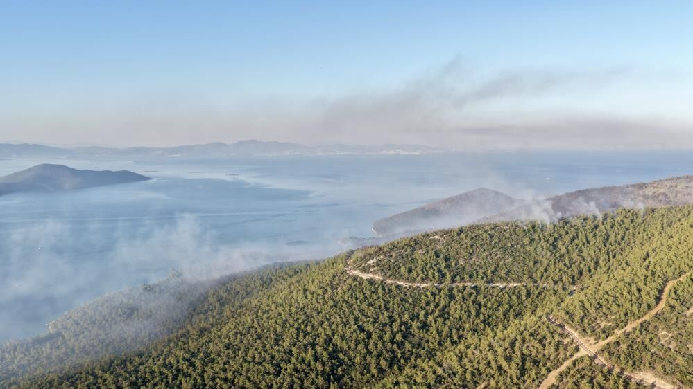 Yangının Boyutu Gün Ağarınca Ortaya Çıktı 111