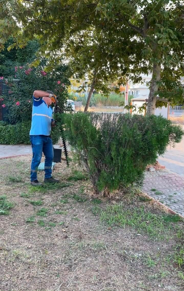 Didim Belediyesi Sokak 2