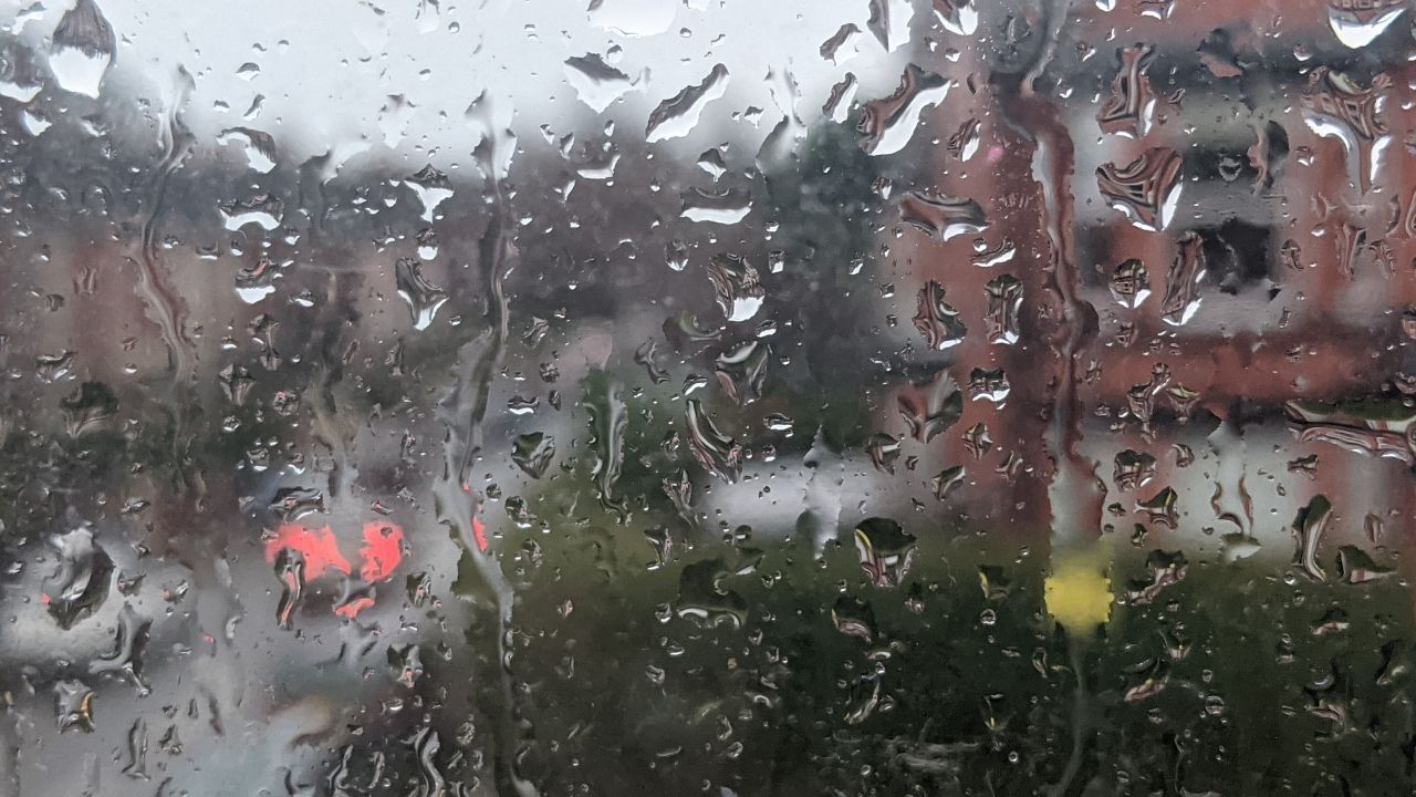 Izmir 29 Ağustos Haber 3