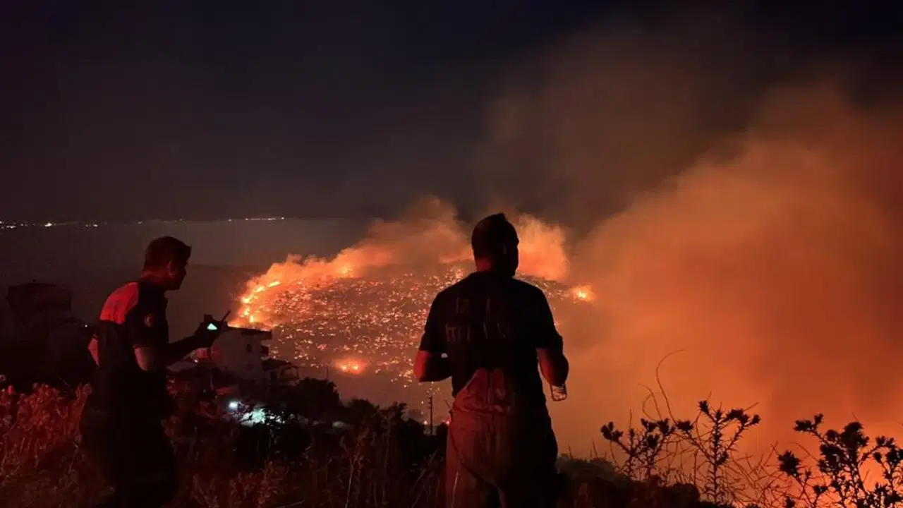 Orman Yangınları Alev 1