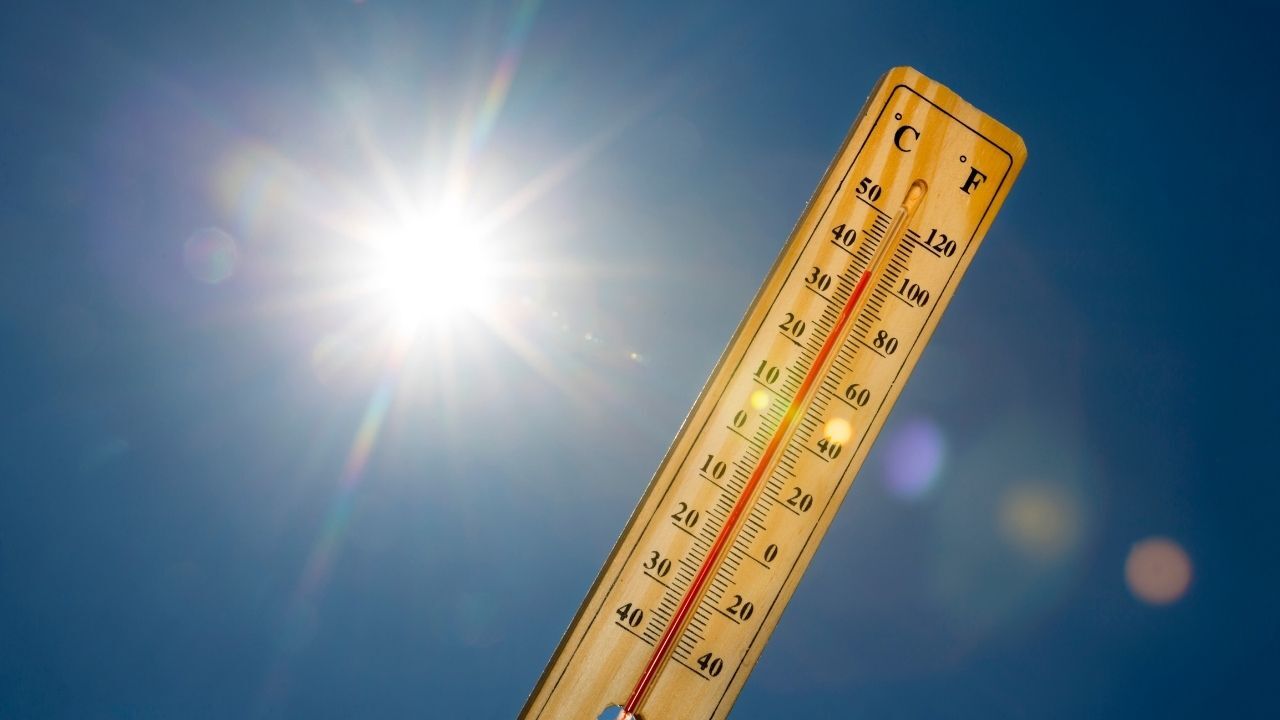 Sıcak Hava 08 Ağustos 2
