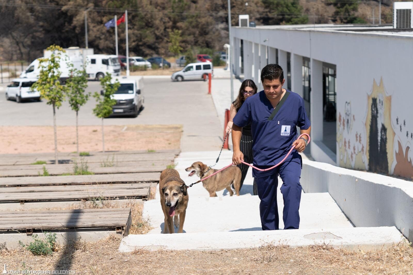 2Bizsiz Öksüz Kalmasınlar Mesai Arkadaşları Şeker, Tarçın Ve Salça’ya Yeniden Kavuştu