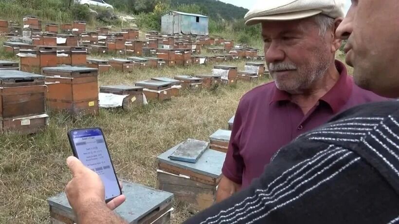 56 Yıllık Arıcılığa Yapay Zeka Dokunuşu Bal Verimi Yüzde 40 Arttı! (1)