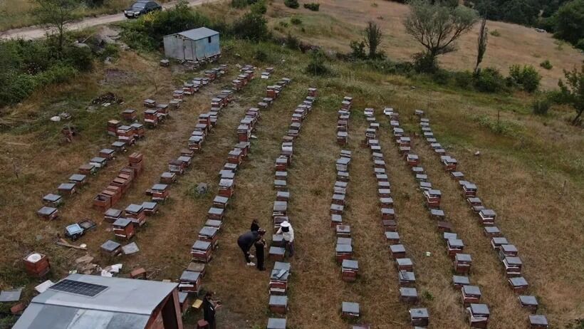 56 Yıllık Arıcılığa Yapay Zeka Dokunuşu Bal Verimi Yüzde 40 Arttı! (4)