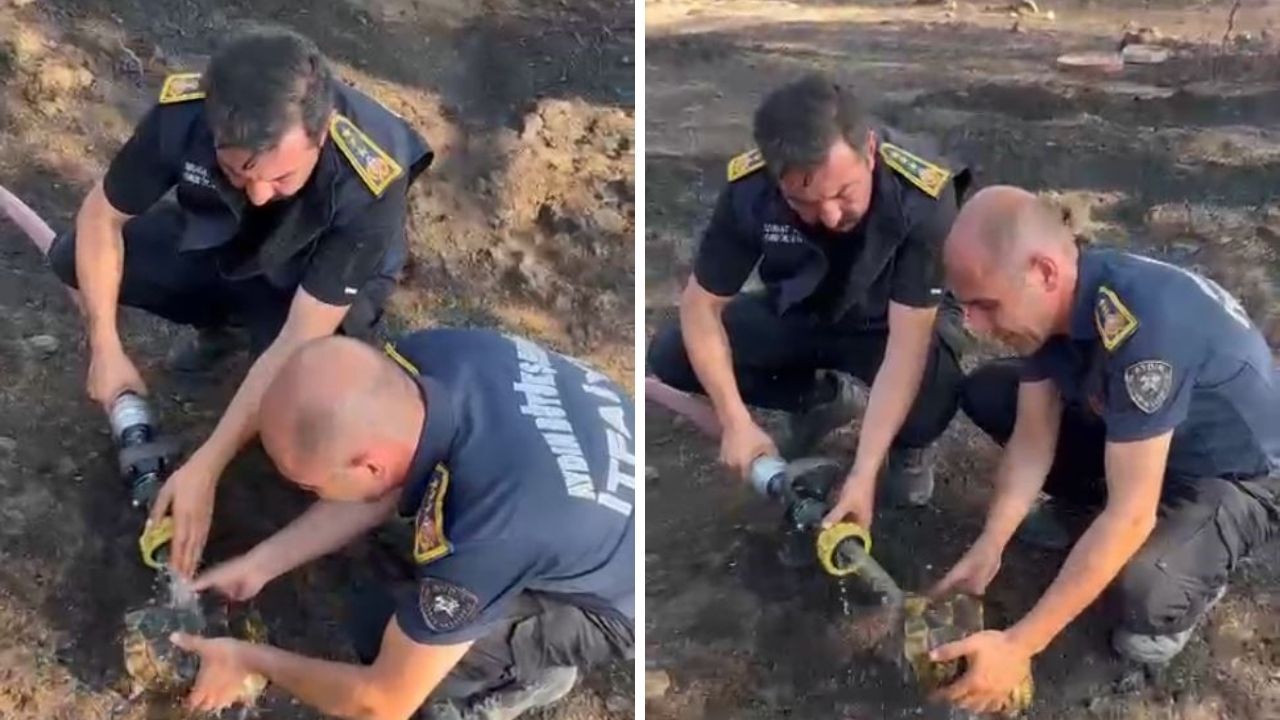 Alevlerin Arasındaki Can Böyle Kurtarıldı1