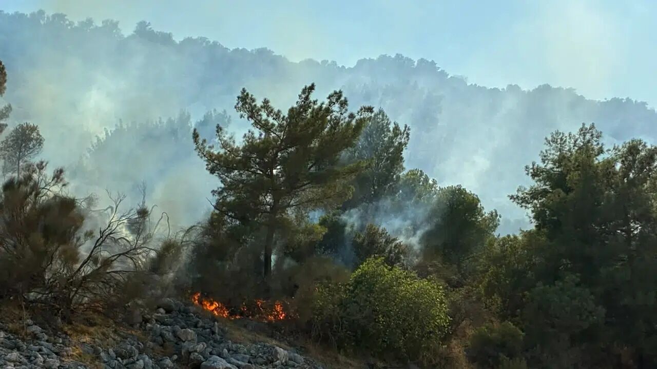 Antalya'da Iki Farklı Noktada Orman Yangını! Havadan Ve Karadan Müdahale Sürüyor (3)