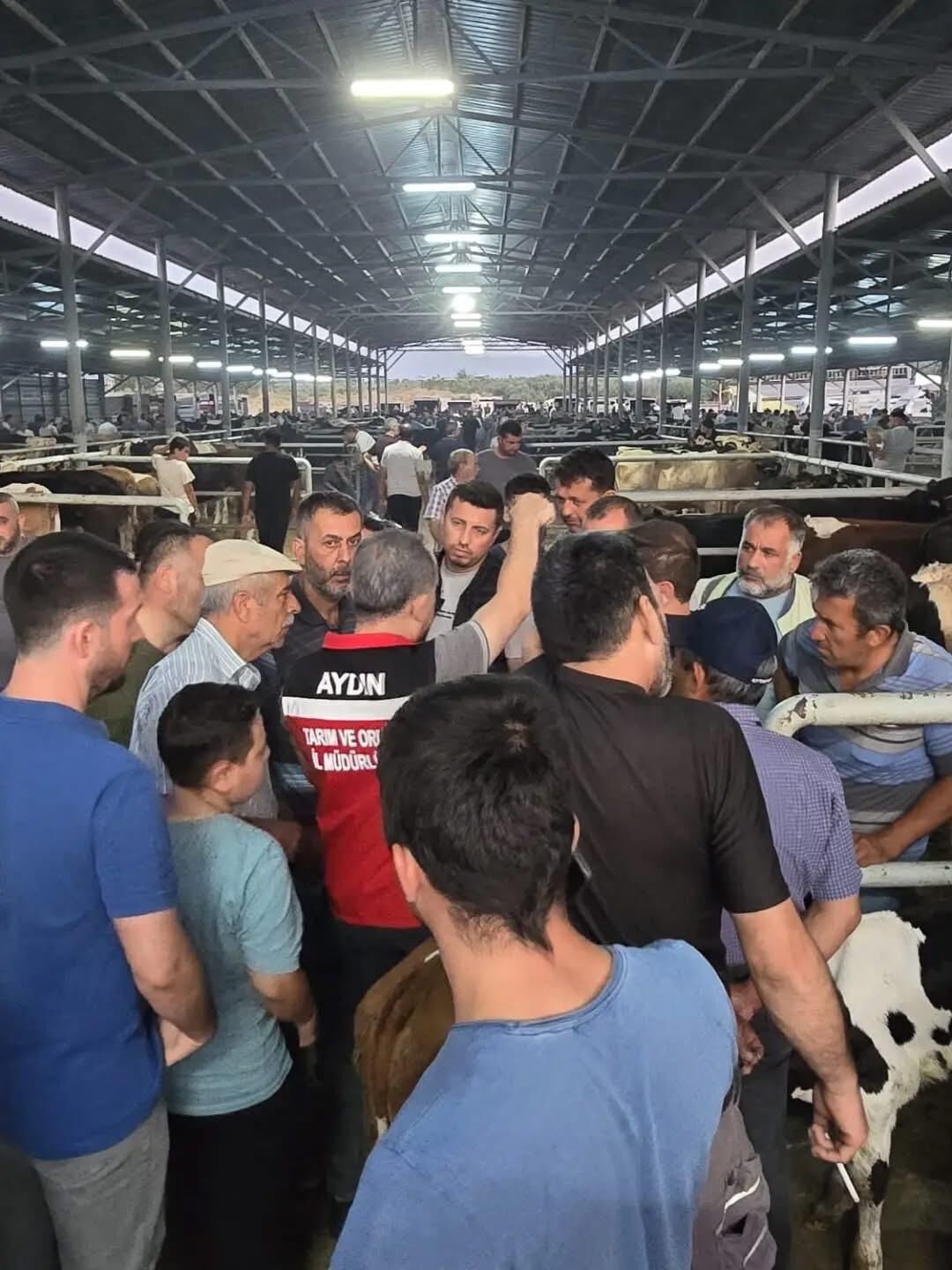 Aydın’da Hayvan Pazarlarında Sıkı Denetim Küpesiz Hayvana Geçit Yok (4)