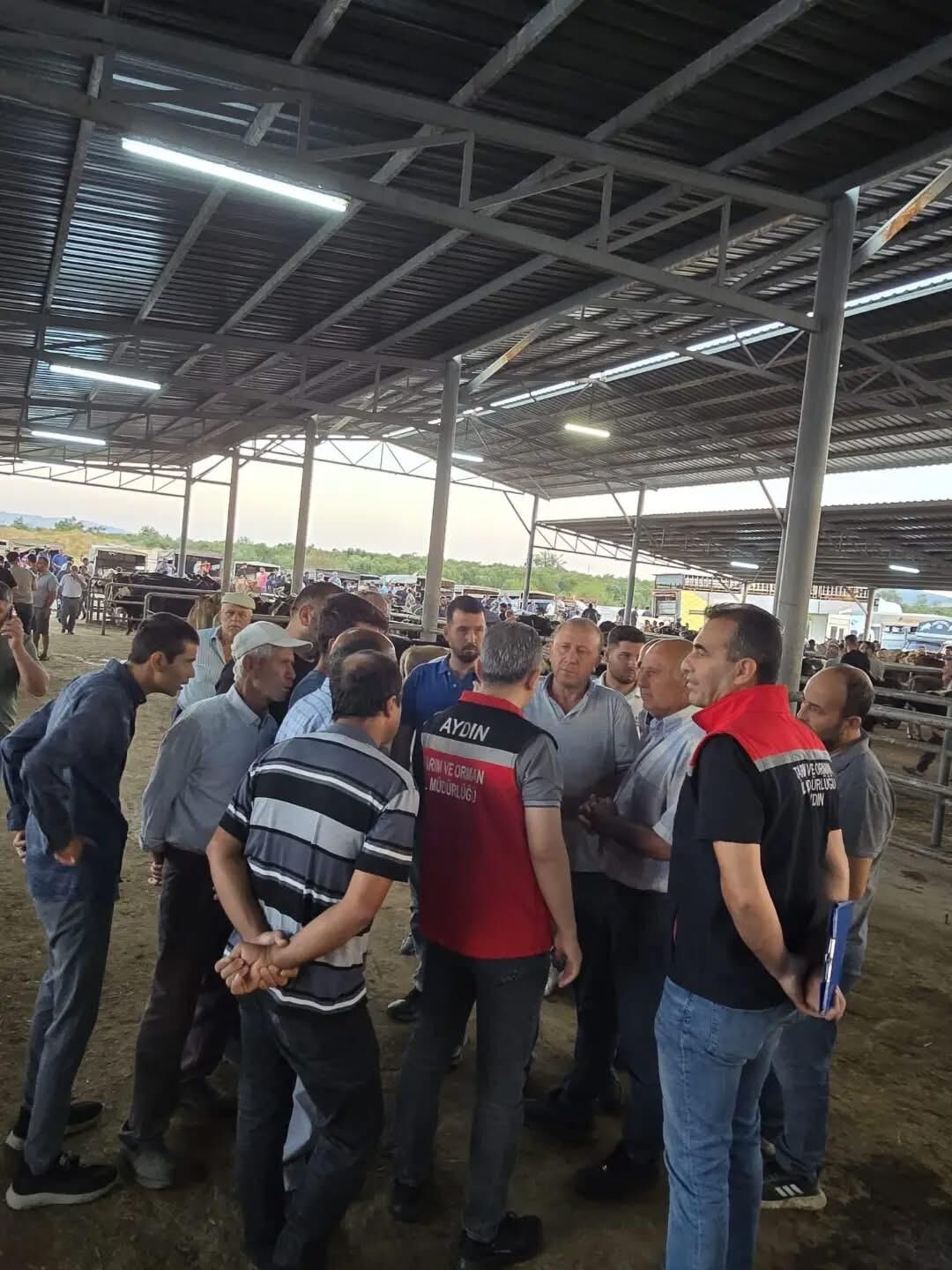 Aydın’da Hayvan Pazarlarında Sıkı Denetim Küpesiz Hayvana Geçit Yok (5)