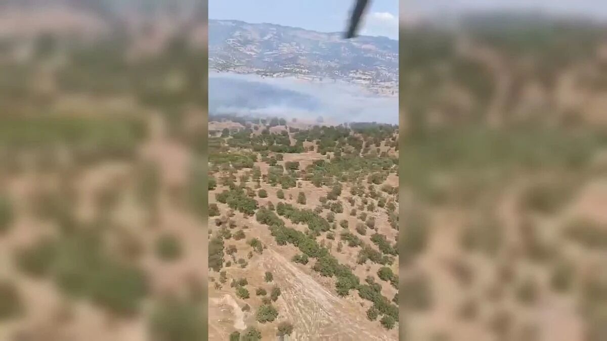 Balıkesir'de Alevler Ormana Sıçradı Sındırgı'daki Yangına Havadan Ve Karadan Müdahale (1)