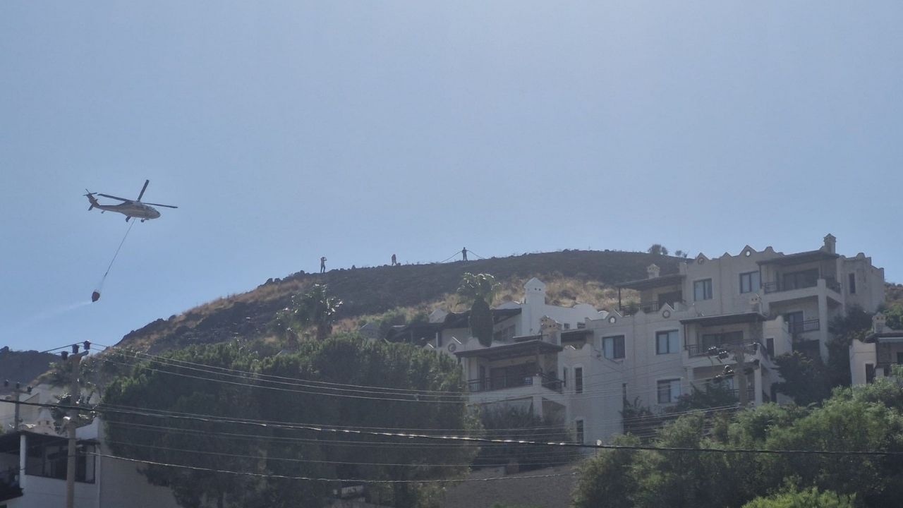 Bodrum Akyarlar'daki Orman Yangını Kontrol Altına Alındı