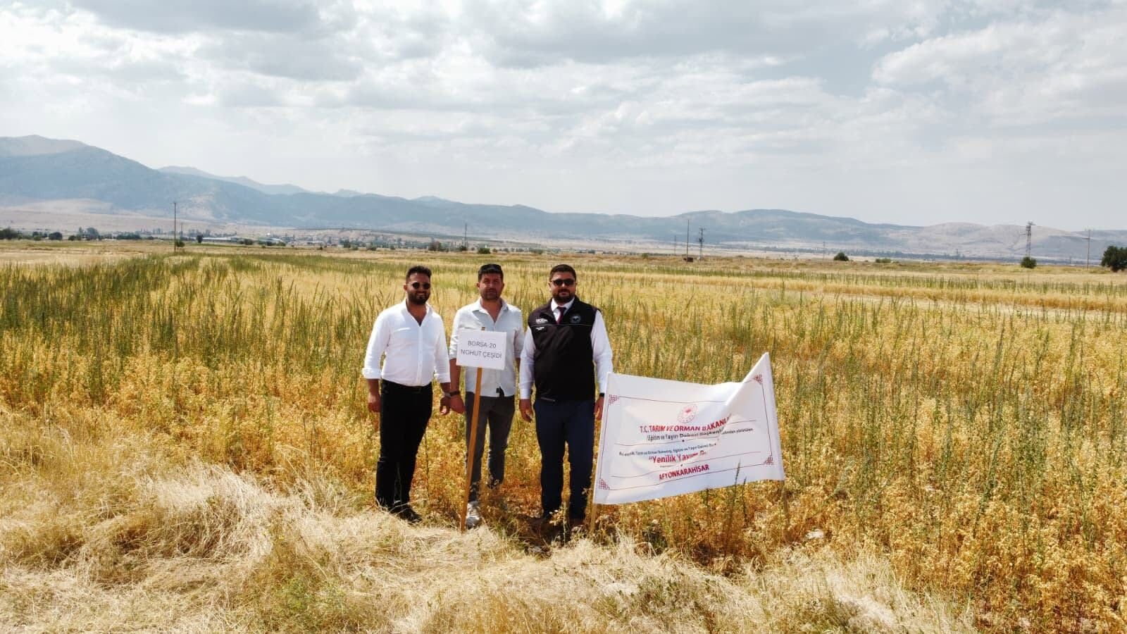 Borsa Nohut Çeşidi (2)
