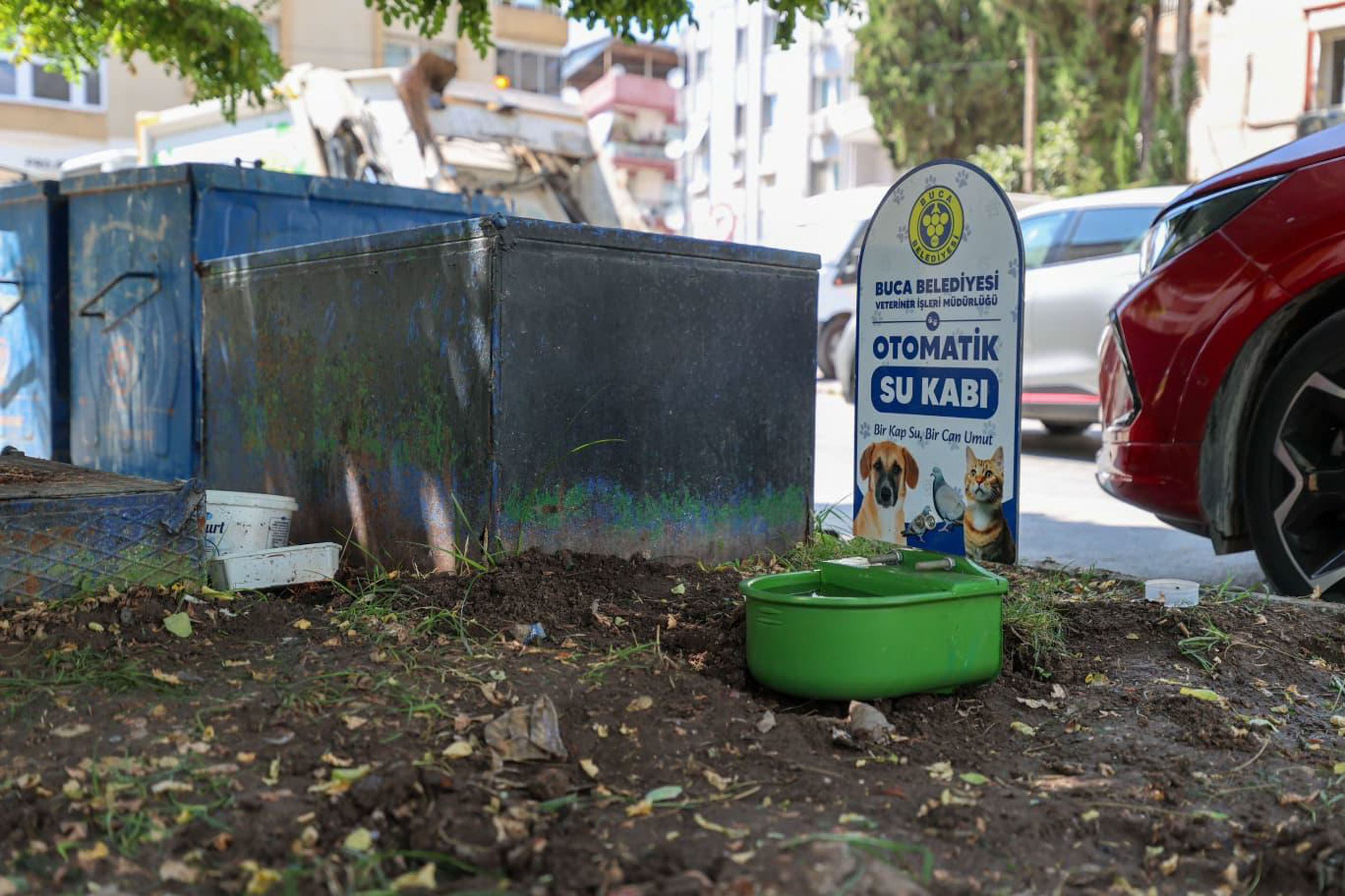 Buca’da Can Dostları Için Kesintisiz Su Dönemi! (1)-1