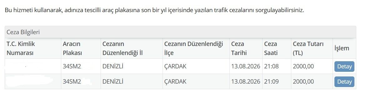 Çifte Ceza Sürücü (1)