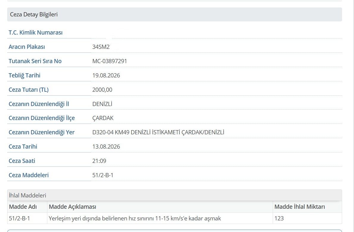Çifte Ceza Sürücü (2)
