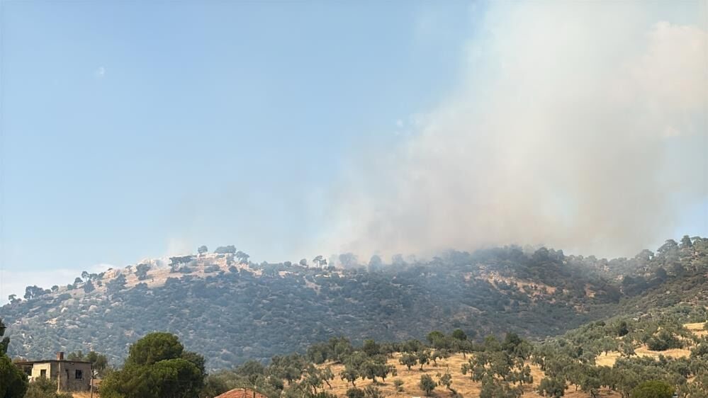 Çine'de Orman Yangını 12