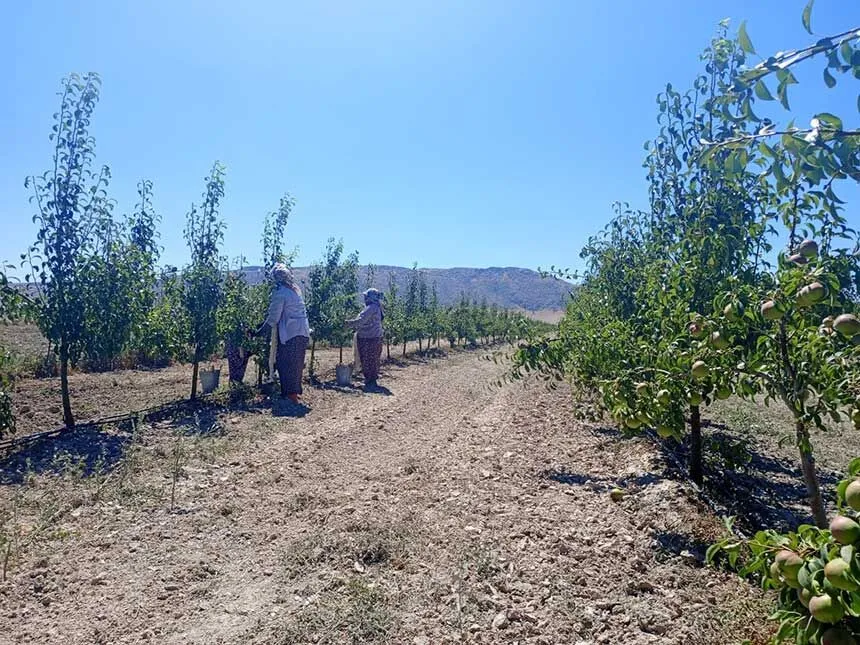 Çivrilli Kadınlar (1)