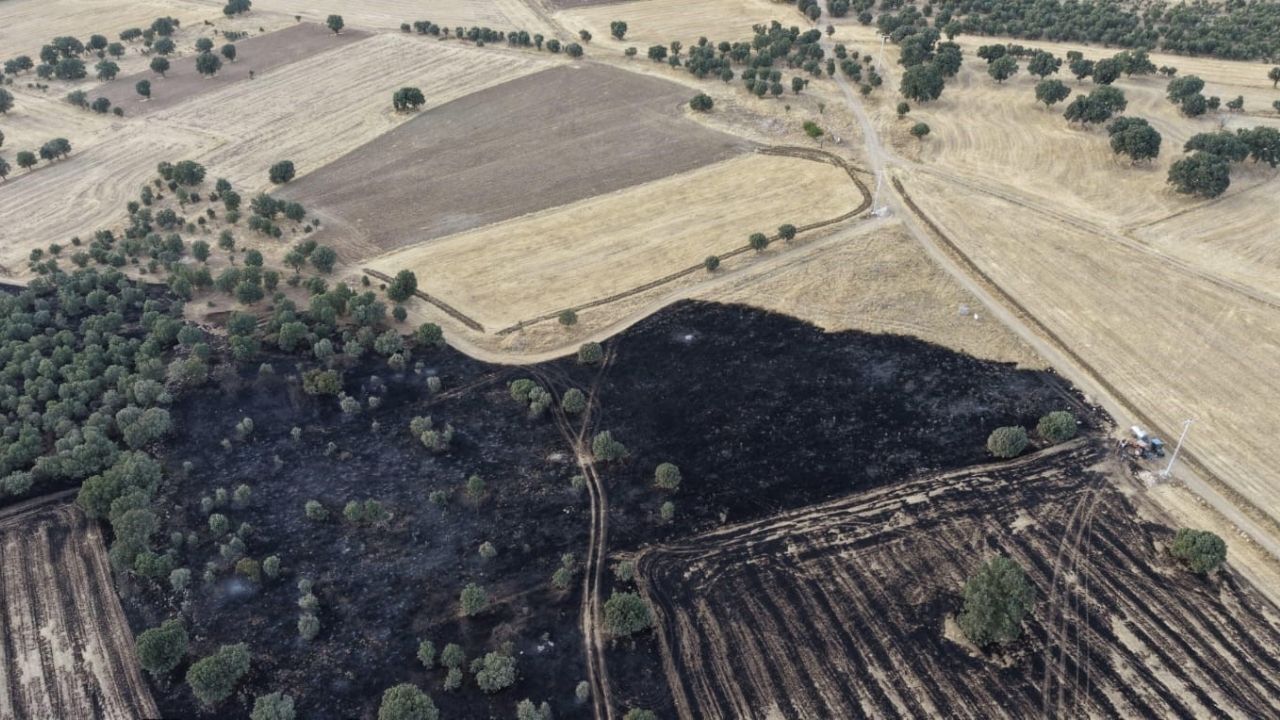 Denizli'nin Çivril Ilçesinde Arazi Yangını