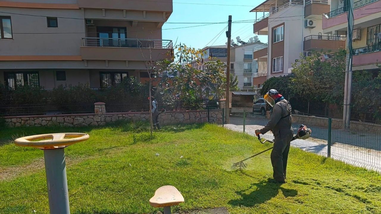 Didim'de Yeşil Alan Seferberliği2