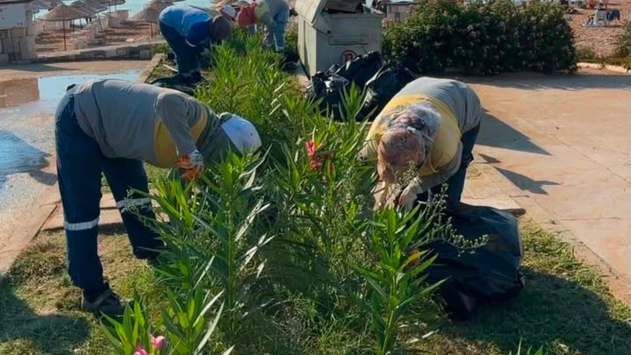Didim'de Yeşil Alan Seferberliği3