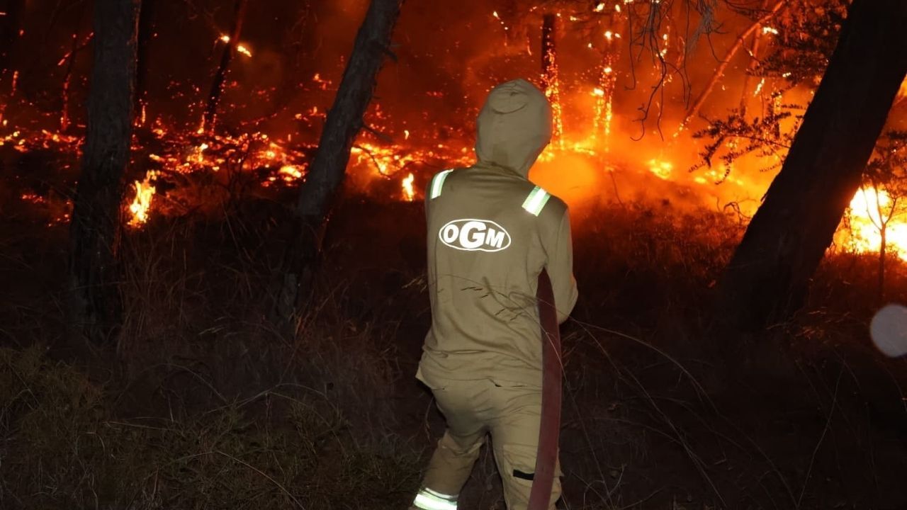 Fethiye’deki Orman Yangını Kontrol Altına Alındı