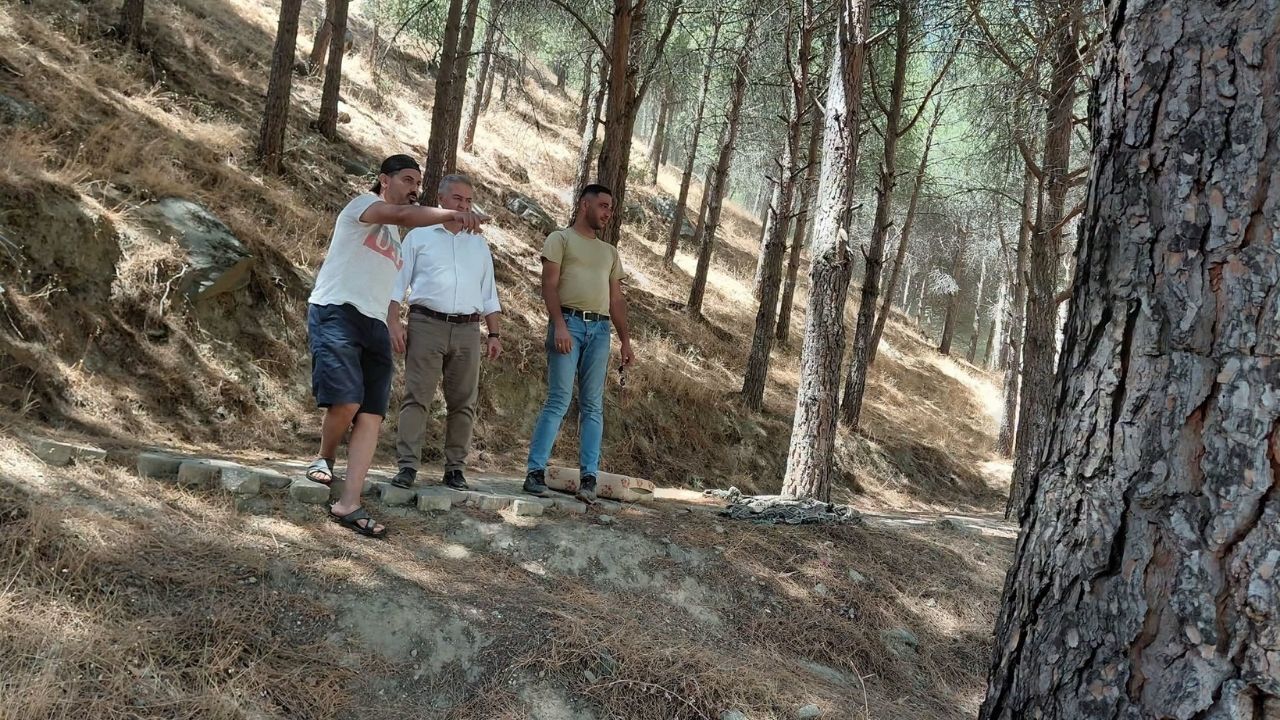 Incir Festivali2