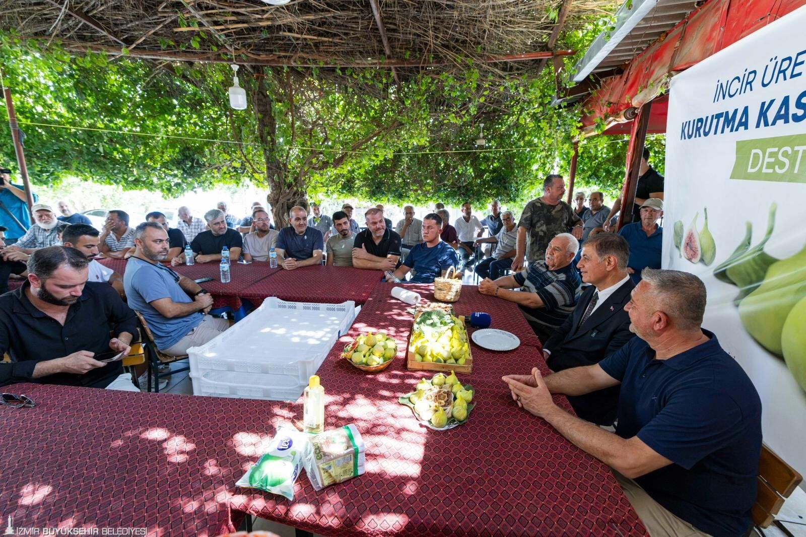 İncir Üreticilerine 10 Bin Kerevet (2)
