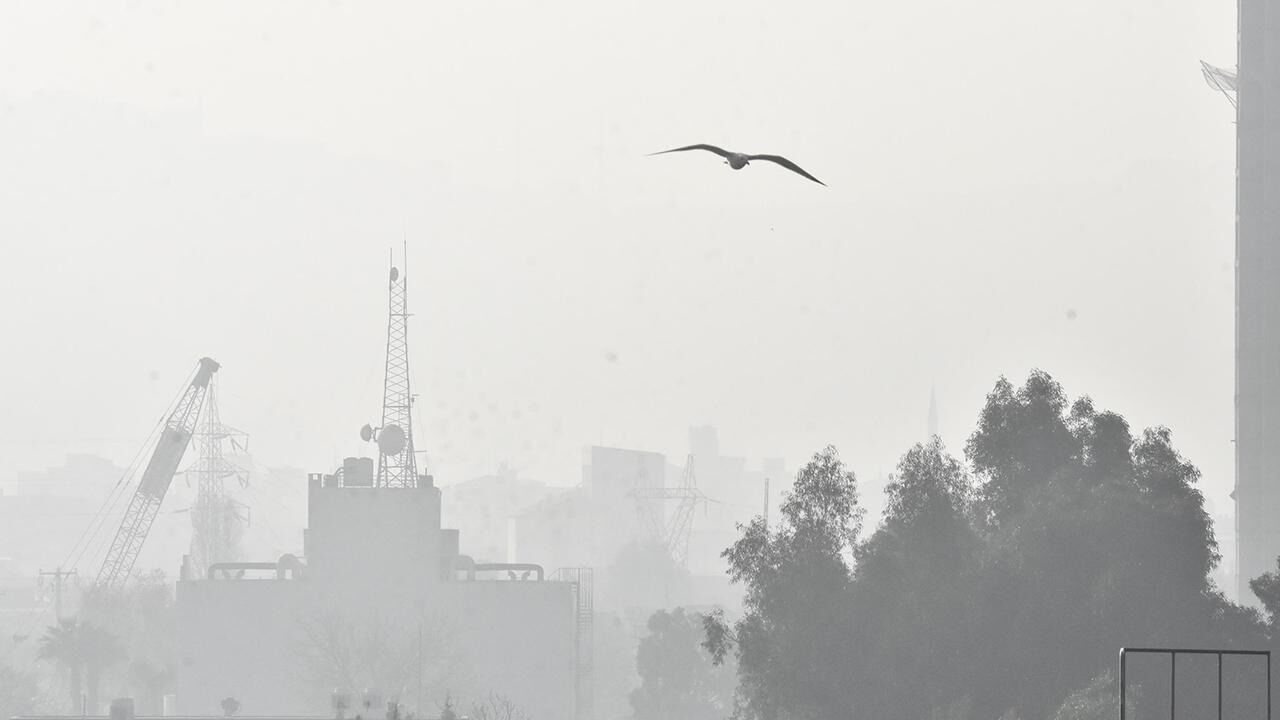 İzmir’de Hava Kirliliği Tırmanışta 11