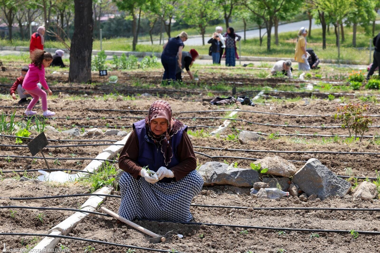 Kadınlardan Toprağa Hayat Veren Dayanışma Mahalle Bostanları'nda Yaz Bereketi! (1)