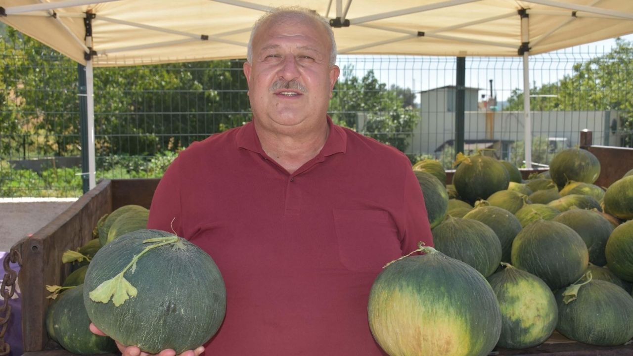 Kavun Festivali1