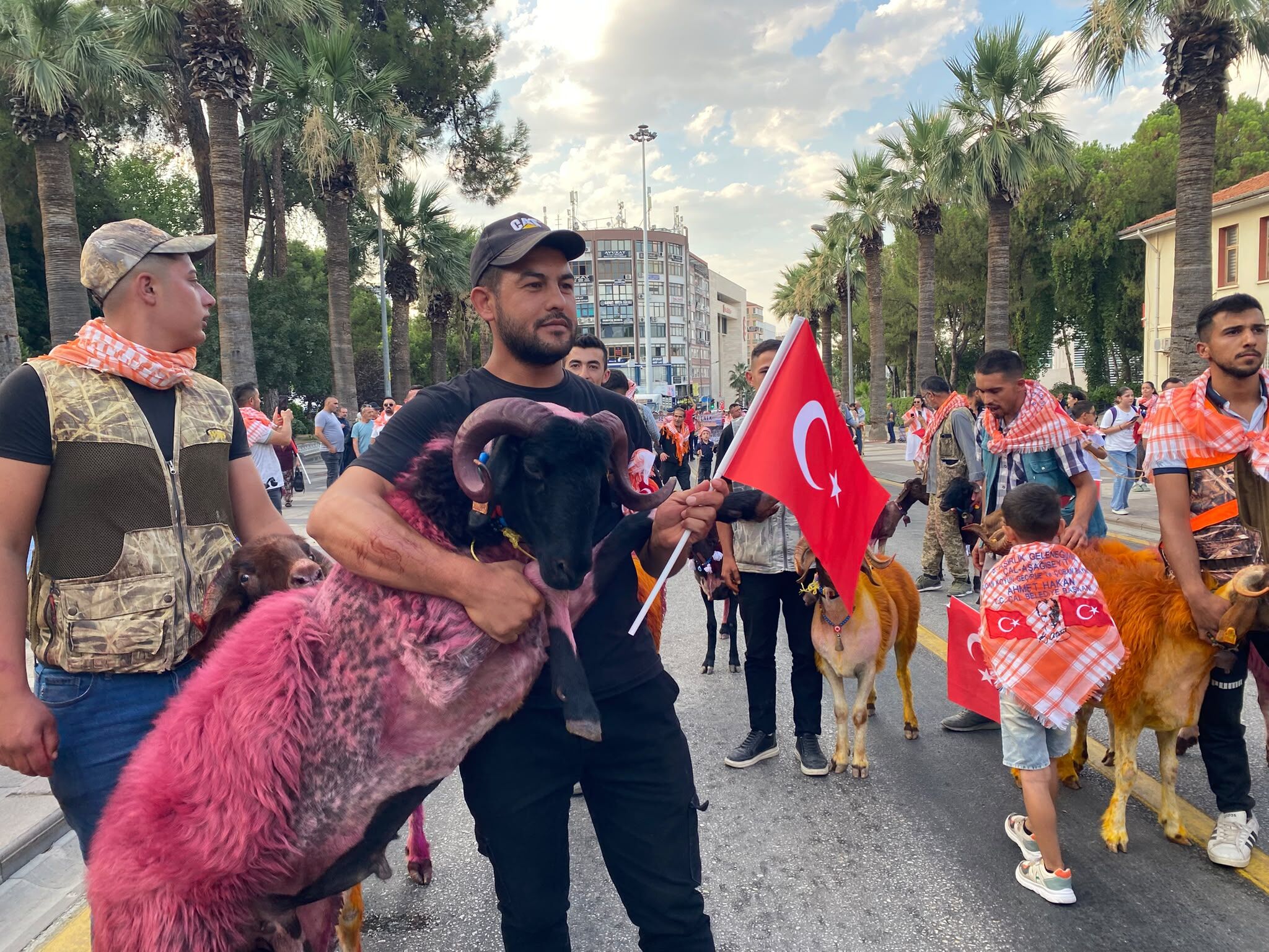 Kınalı Kuzular (7)