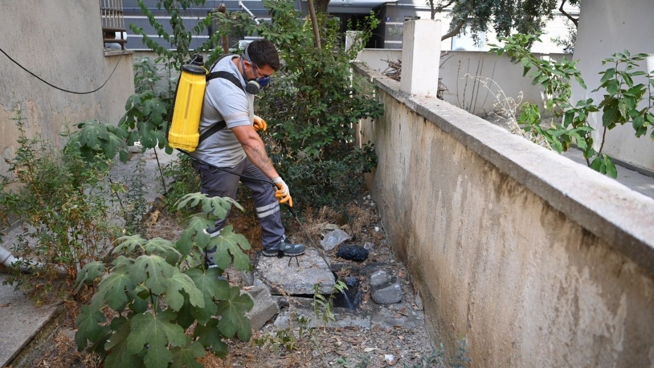 Kuşadası Belediyesi Halk Sağlığı İçin Yaz Sezonunda Sahada2
