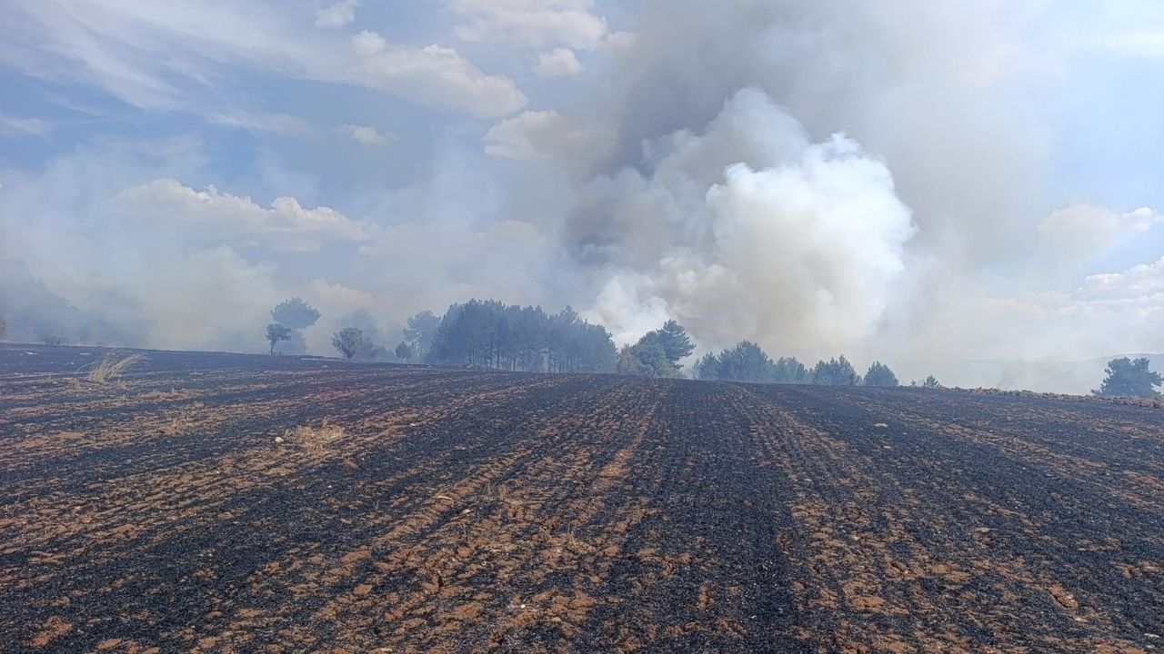 Kütahya'daki Yangın Kontrol Altına Alındı2