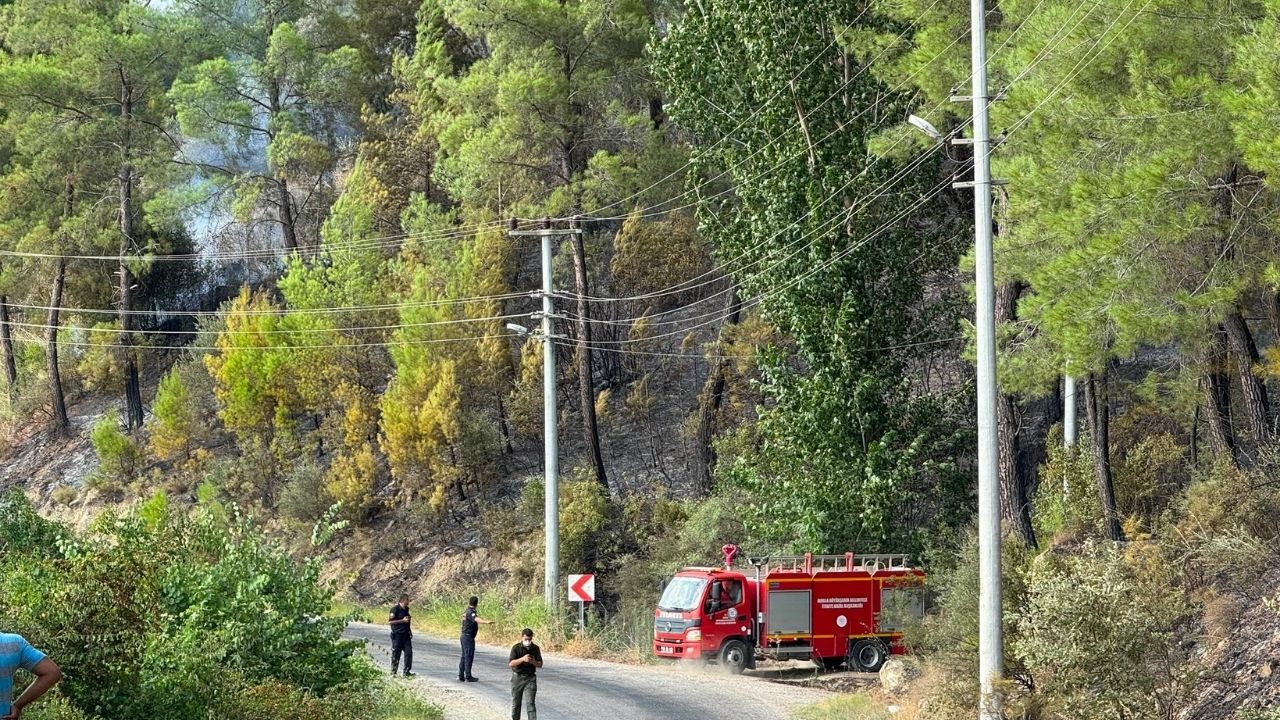 Muğla Seydikemer'deki Orman Yangını Kontrol Altına Alındı