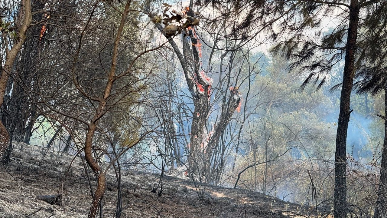 Muğla Seydikemer'deki Orman Yangını Kontrol Altına Alındı3