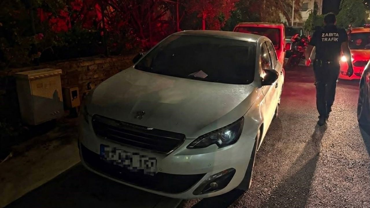 Muğla Yaya Yolu Işgali3