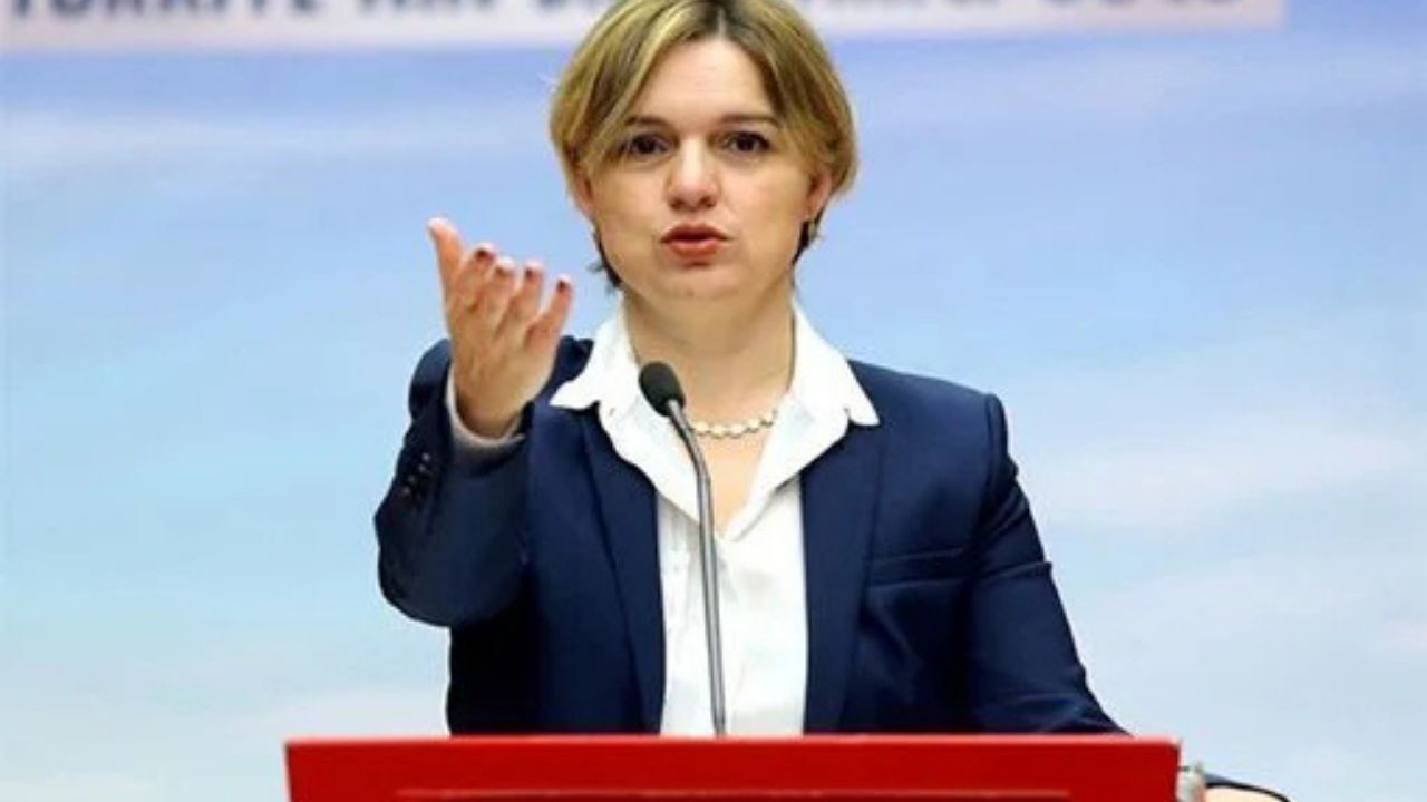 Selin Sayek Böke Kimdir, Selin Sayek Böke Hangi Partiden1