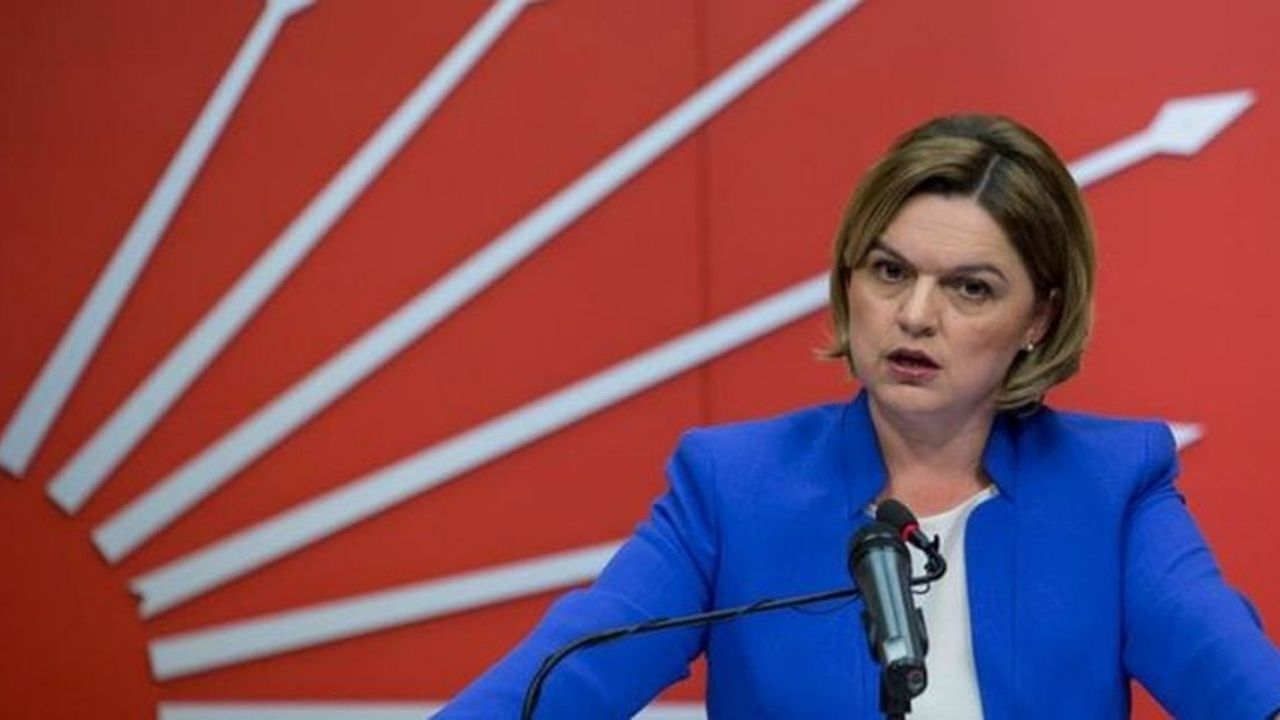 Selin Sayek Böke Kimdir, Selin Sayek Böke Hangi Partiden2
