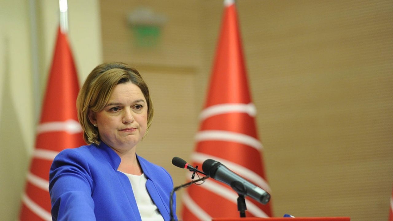 Selin Sayek Böke Kimdir, Selin Sayek Böke Hangi Partiden3