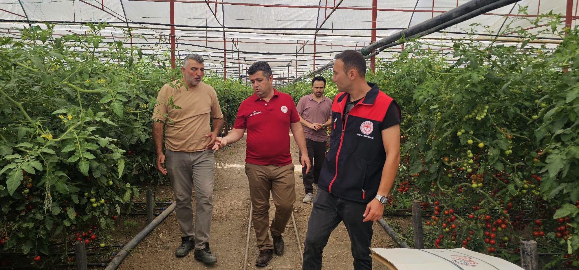 Seracılık (1)