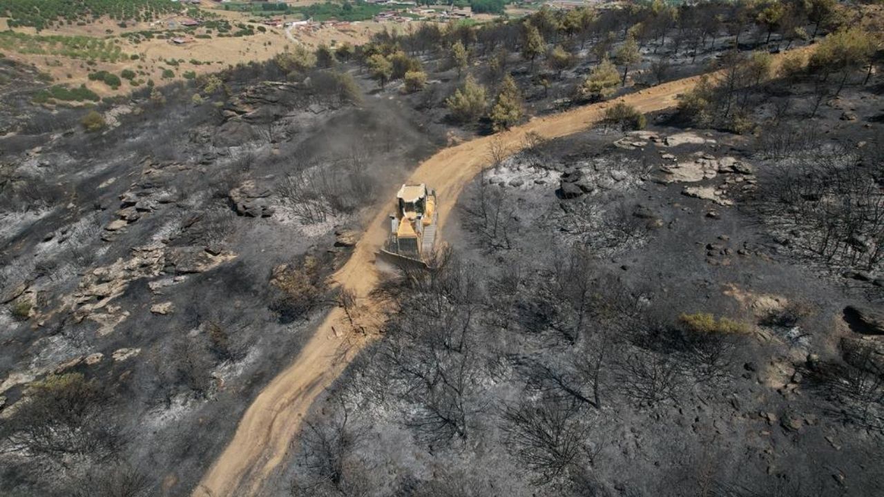 Manisa’da tarım arazisinde başlayıp ormana sıçrayan yangın ve 8 saatte kontrol altına alınabilen yangında yüzlerce dönüm alan kül oldu. Havadan ve karadan müdahale edilen felaketin acı bilançosu gün ağarınca görüntülendi.