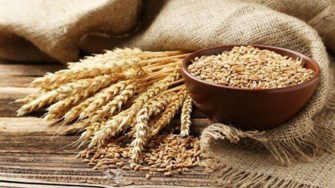 Ege İhracatçı Birlikleri (EİB), Fas’a yumuşak buğday ve türevleri ihracatı yapan firmaları ilgilendiren önemli bir vergi düzenlemesini duyurdu. Fas Hükümeti tarafından alınan yeni kararla, buğday ve un türevleri ithalatında uygulanan gümrük vergisi tahsilat süresi 31 Ağustos 2026 tarihine kadar uzatıldı.