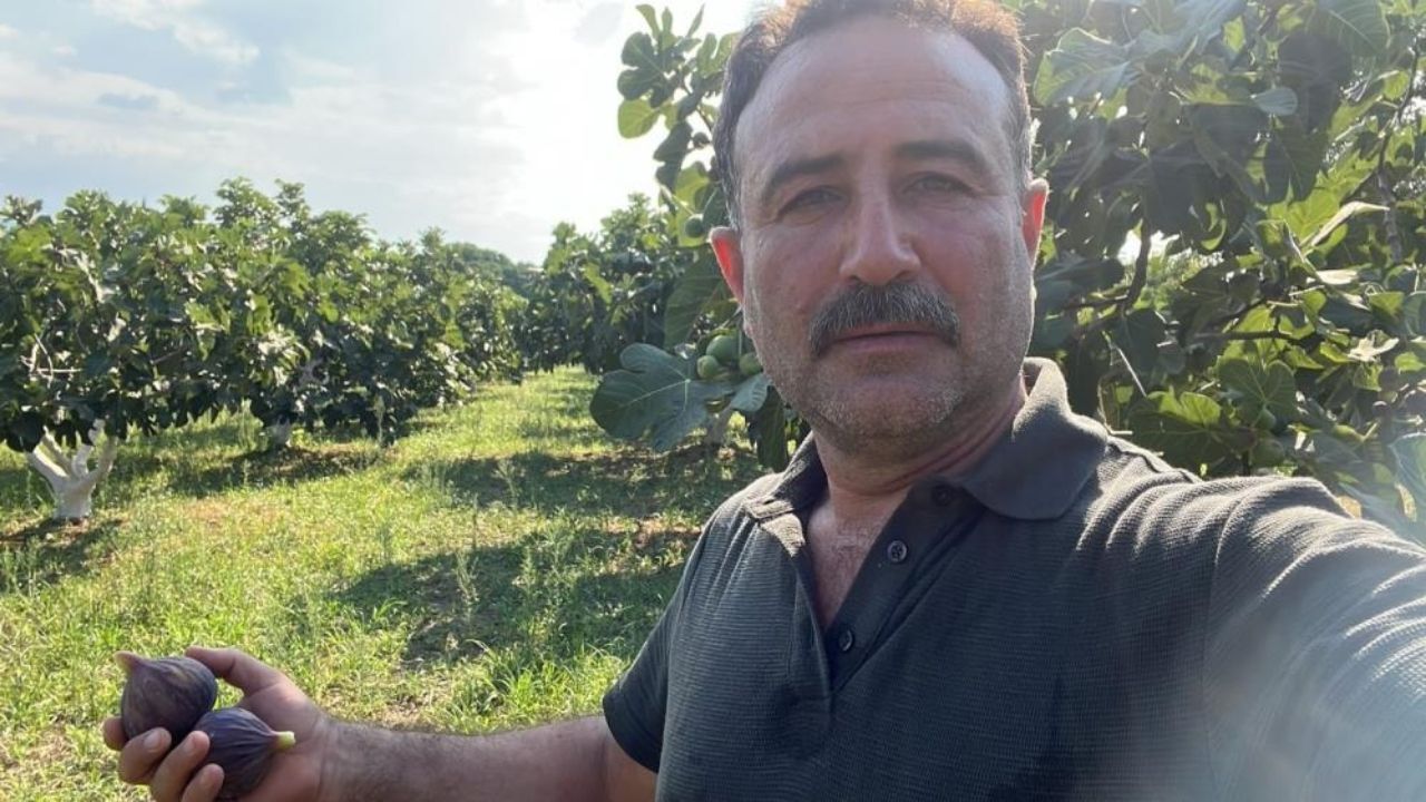 Aydın'da kuru incir sezonu öncesi fiyat endişesi yaşayan üreticiler, sahte ürünlerle yapılan tağşişe tepki göstererek taban fiyat uygulaması ve devlet denetimi talebiyle acil müdahale çağrısında bulundu.