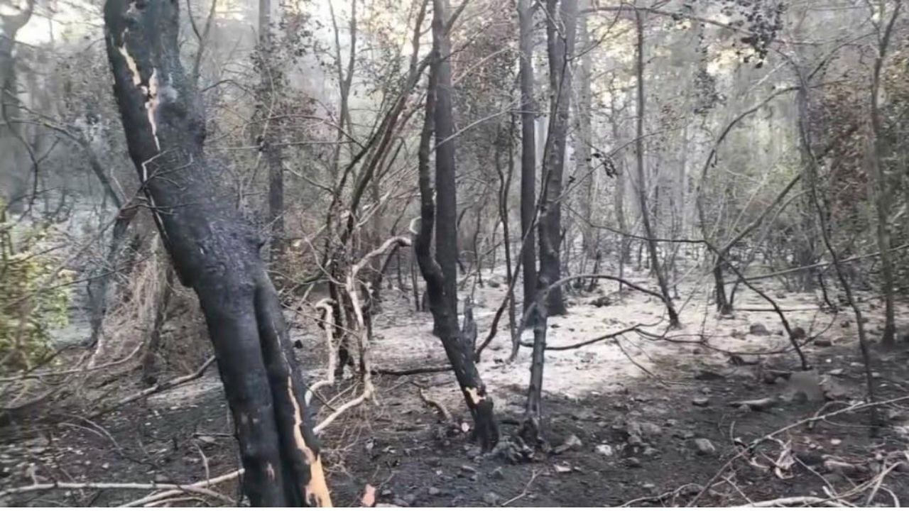 Marmaris'te sarp arazide çıkan yangına denizden çıkarma gemileri, havadan ve karadan ekiplerle müdahale edildi. Alevlerin enerjisi düşürülürken bölgede soğutma çalışmaları aralıksız sürüyor.