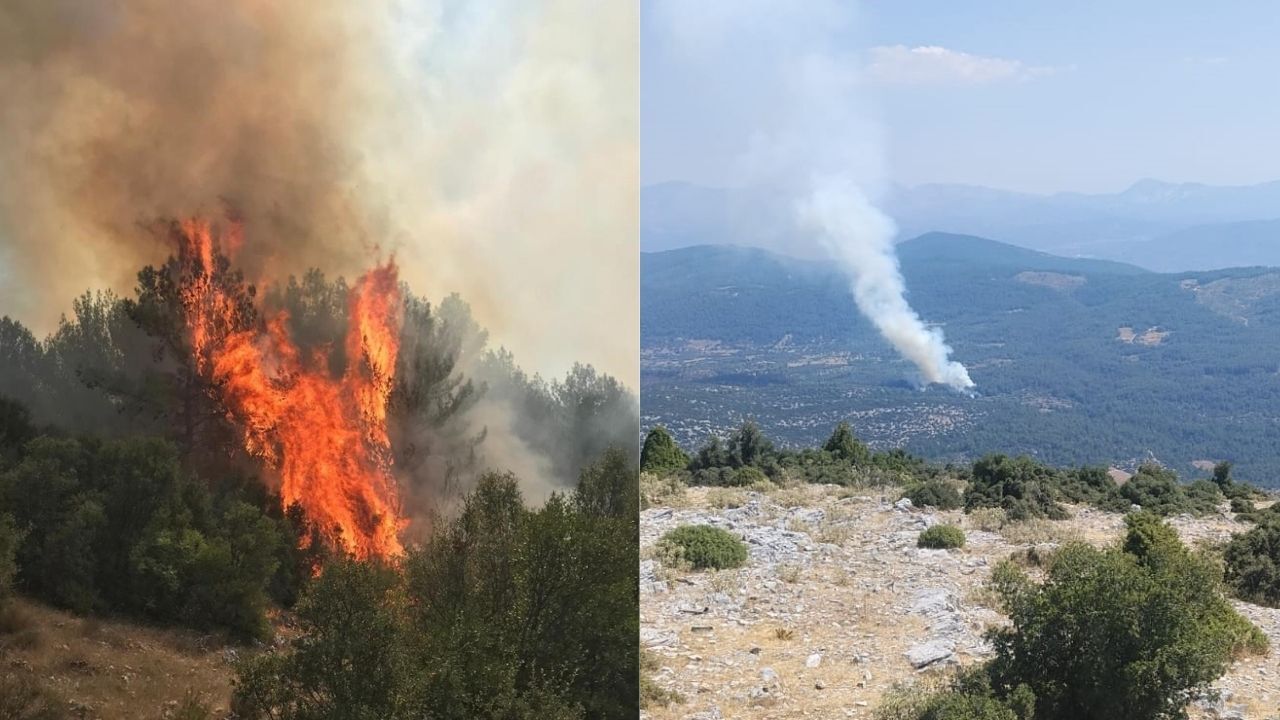 Çevre
