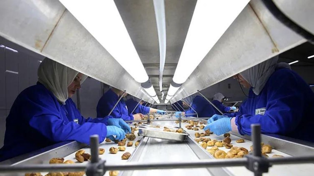 AB'den dev ticaret heyeti, 2026-2027 sezonu öncesi Ege'ye geliyor. FRUCOM, Alman ve Hollandalı temsilciler; İzmir, Manisa ve Aydın'da kuru üzüm ile incir tesislerini denetleyip yeni mevzuatları aktaracak.