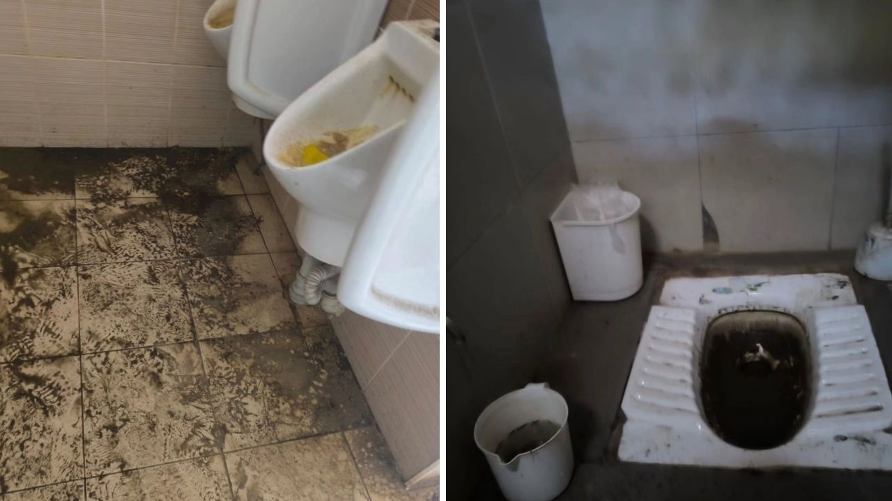 Kuşadası Çevre Platformu, Dilek Yarımadası Milli Parkı'ndaki atık ve fosseptik ihmali nedeniyle işletmeciye "Yazıklar olsun" diyerek tepki gösterdi, sözleşme şartlarını hatırlattı.