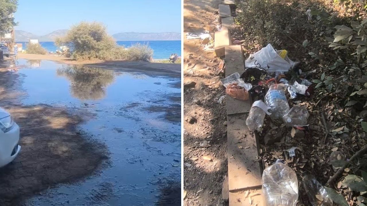Kuşadası Çevre Platformu, Dilek Yarımadası Milli Parkı'ndaki atık ve fosseptik ihmali nedeniyle işletmeciye "Yazıklar olsun" diyerek tepki gösterdi, sözleşme şartlarını hatırlattı.